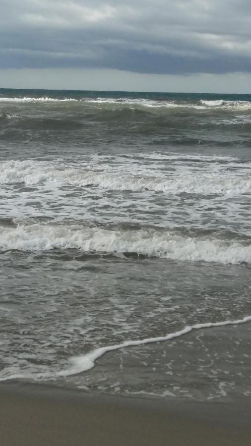 Appartamento Mare Pital Marina di Massa Dış mekan fotoğraf